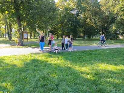 Podgląd